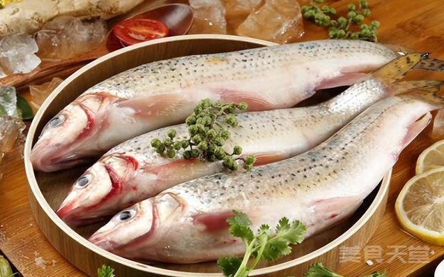 冬季食补必备，四款美味鱼肴助您暖身养生